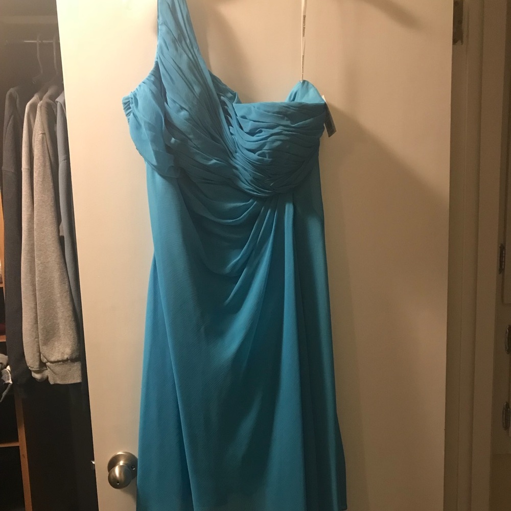 David’s Bridal Formal Dress